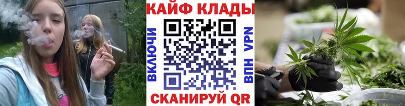 Где купить наркоту Городовиковск ссылка на мегу маркетплейс Меф ГАШ Марихуана СК