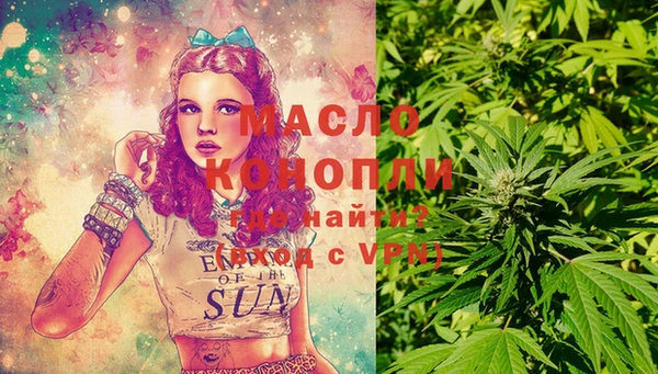 прущие грибы Богданович