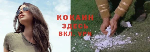 бошки Белокуриха