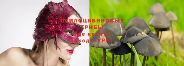 бутират Беломорск