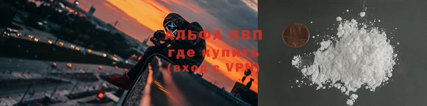 прущие грибы Богданович