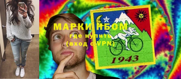 дживик Богородицк
