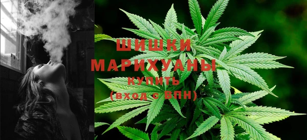 бошки Белокуриха