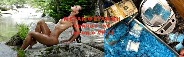 прущие грибы Богданович
