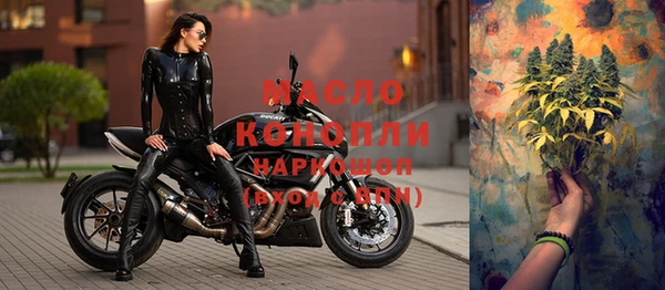 дживик Богородицк