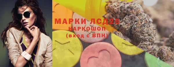 мдпв Богородск