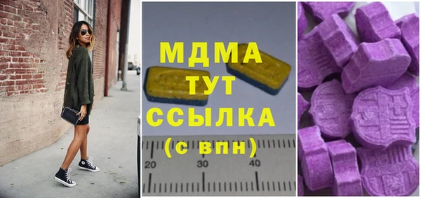 дживик Богородицк