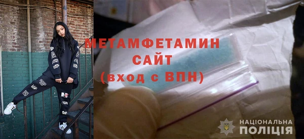 прущие грибы Богданович